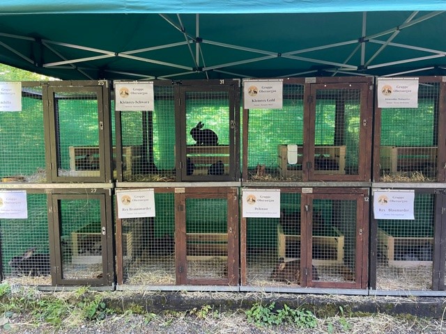 Kaninchenställe draussen