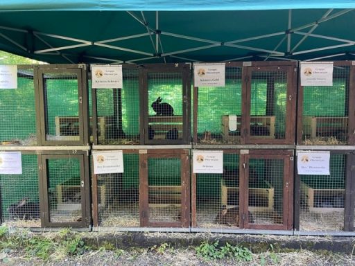 Kaninchenställe draussen